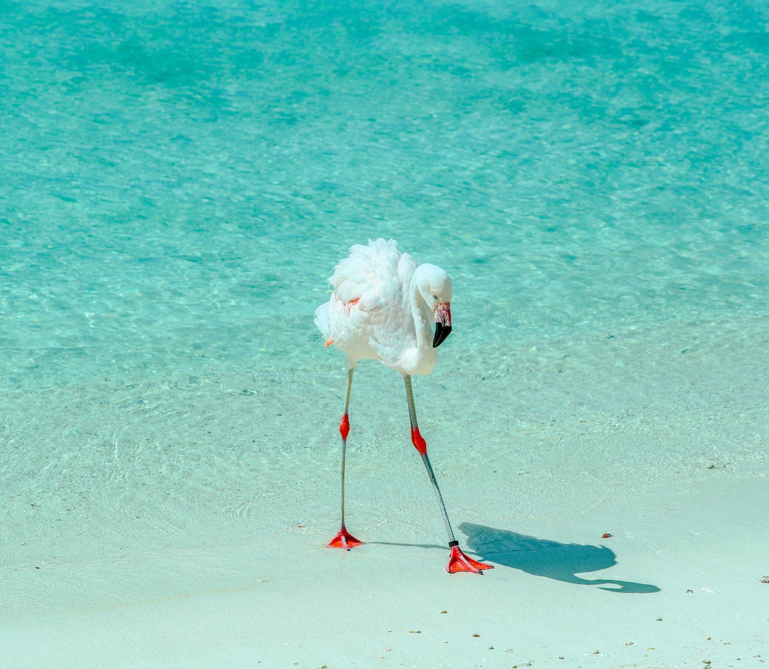 Bonaire